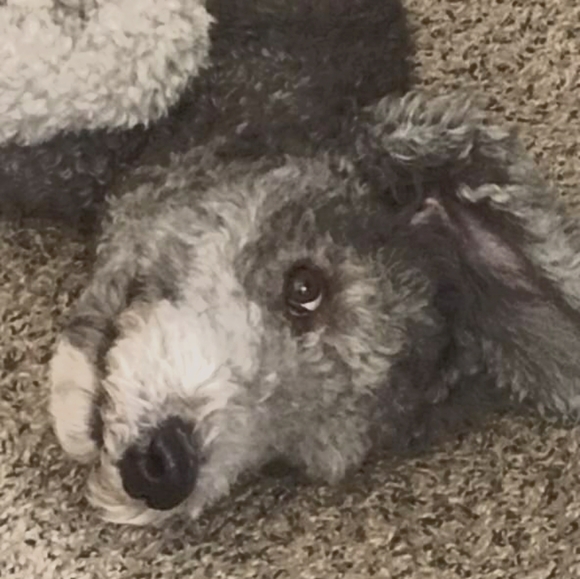 Bundle or Make an offer to save! - Picture 1 of 1